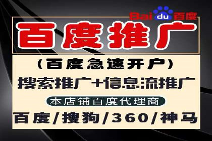 专业SEM服务托管方案案例分析