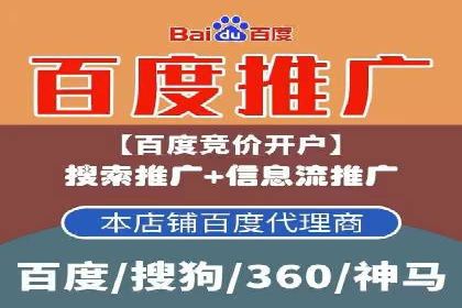 百度广告投放技巧与案例分享